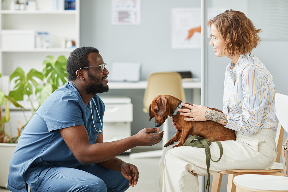 vetrinarian talking to woman holding her dog