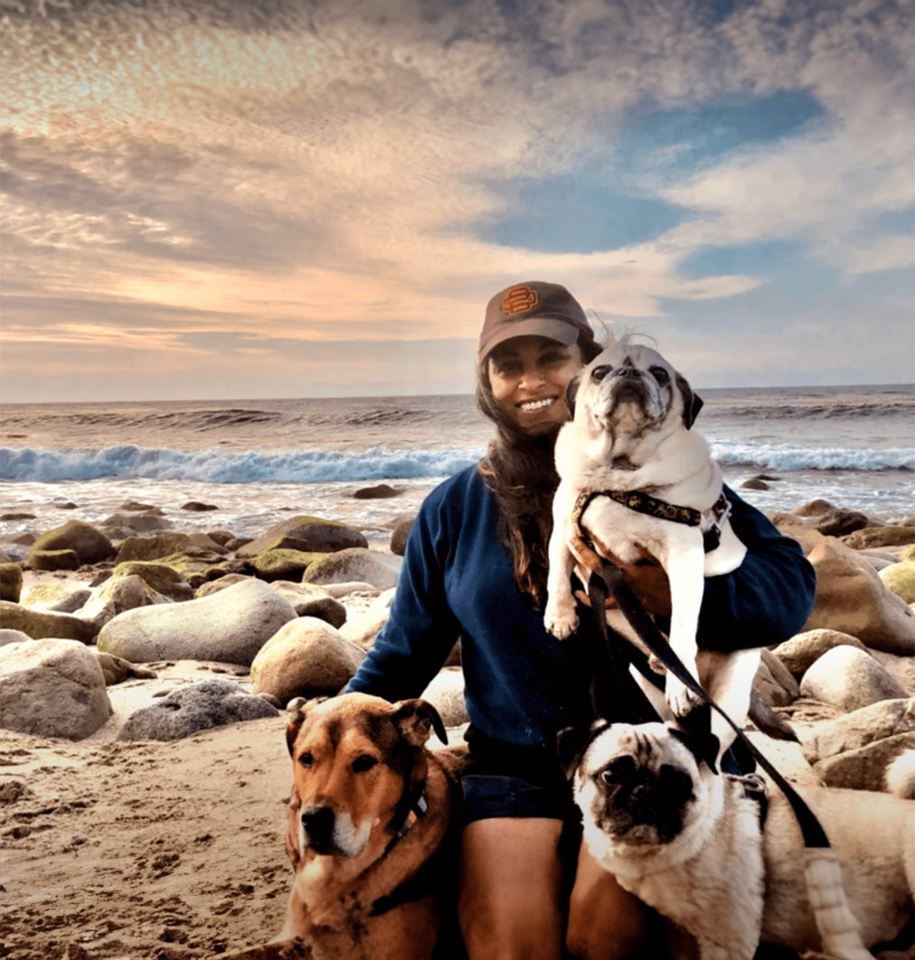 woman with 3 dogs at beach