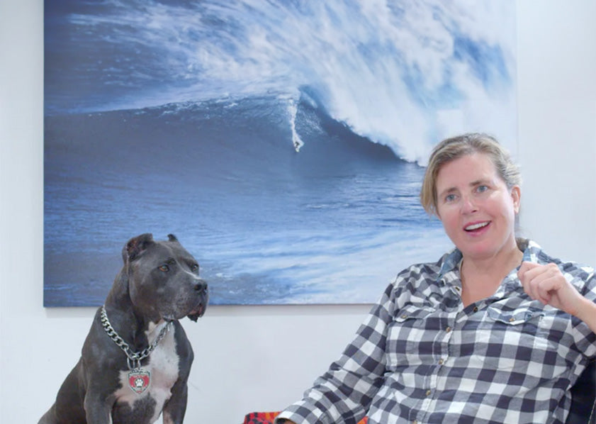 dog with owner in front of surfing picture