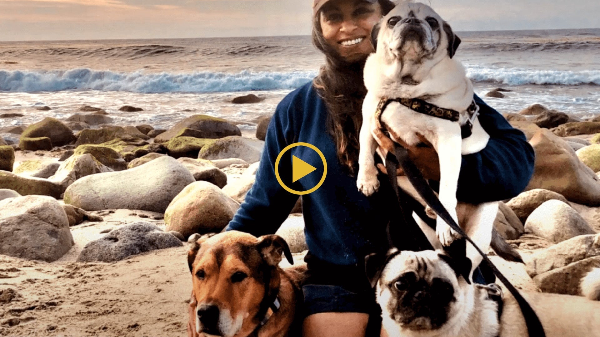 Load video: video of Rani and her dogs